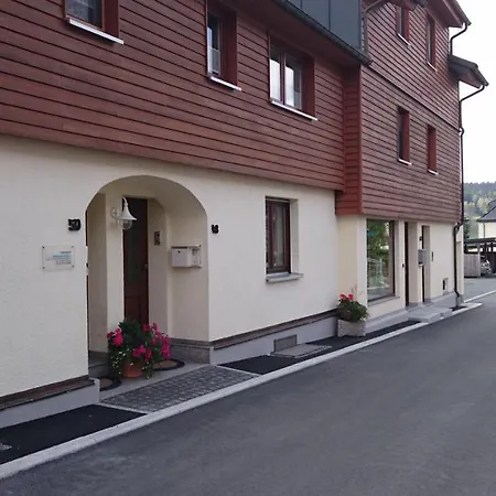 Ferienwohnung Louise Klingenthal Exterior foto