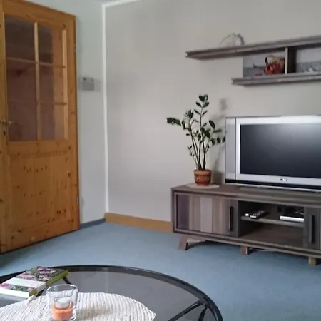 Ferienwohnung Louise Klingenthal Exterior foto