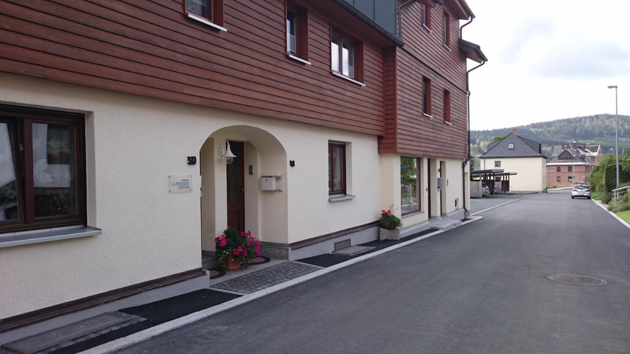 Apartment Louise Klingenthal