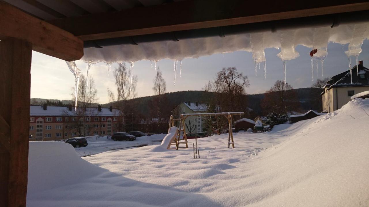 Louise Apartment Klingenthal